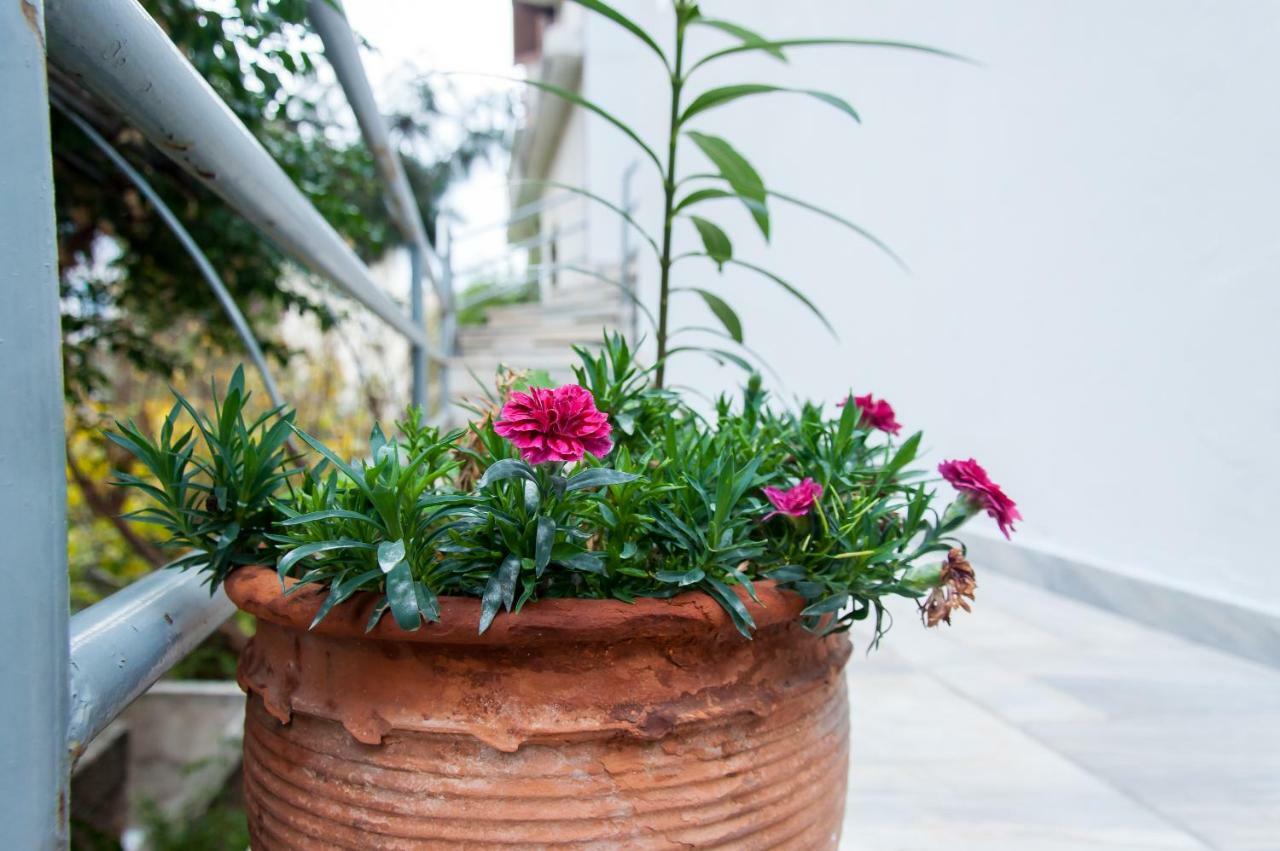 Stephany Apartment Atenas Exterior foto